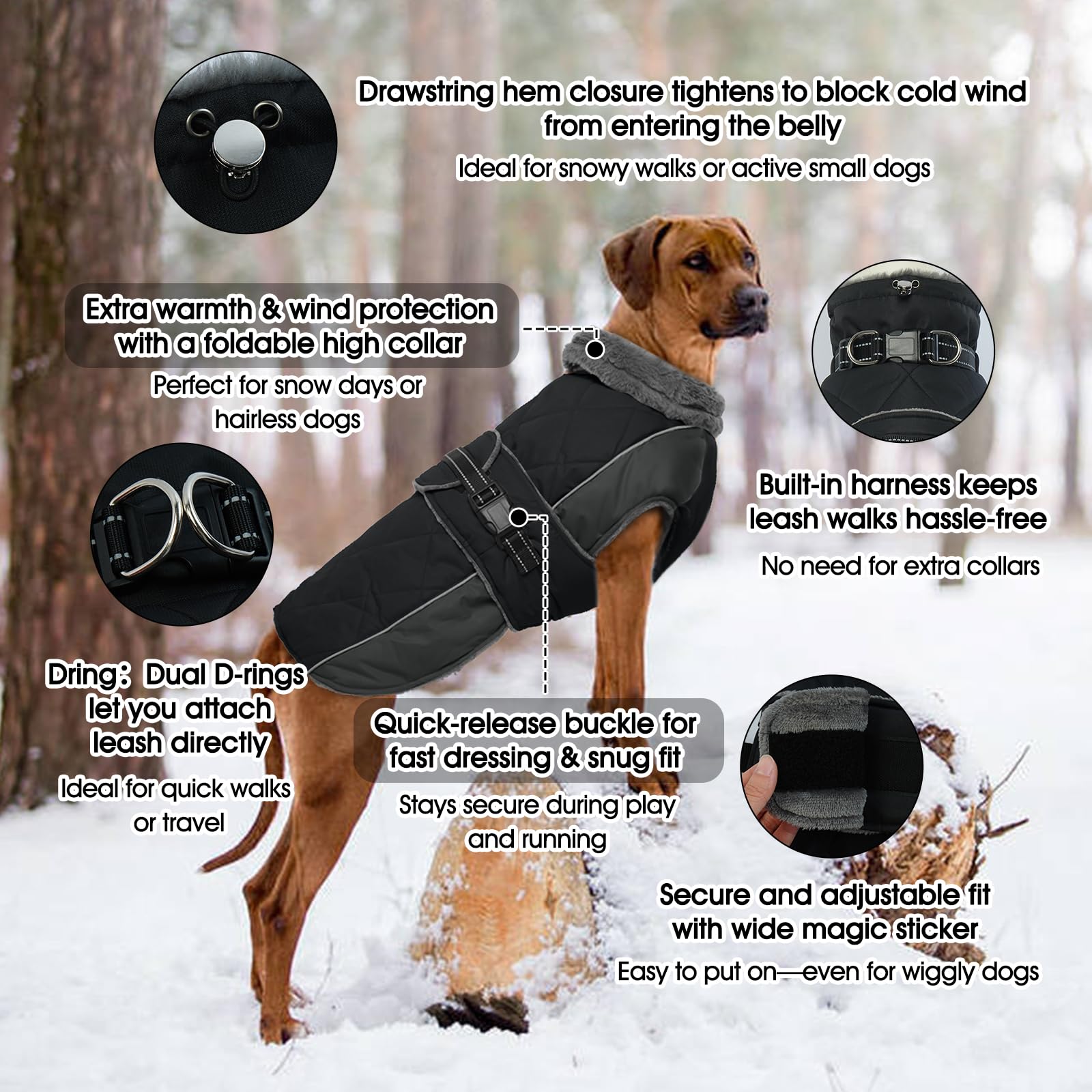 QBLEEV Warm Dog Jacket back view highlighting snug turtleneck warmth for cold days