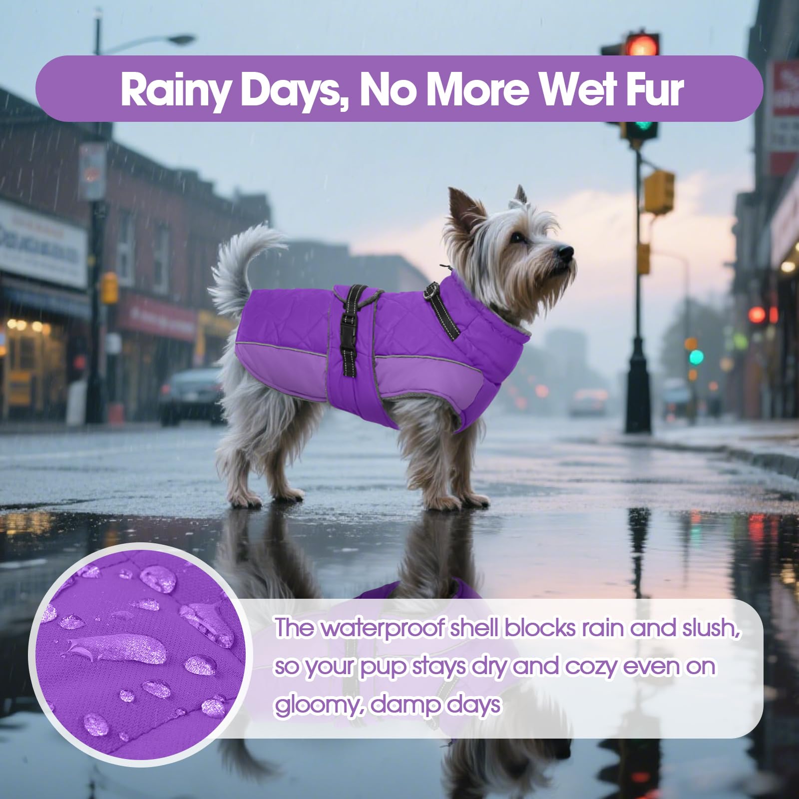 QBLEEV hind-leg elastic bands secure warmth and fit.