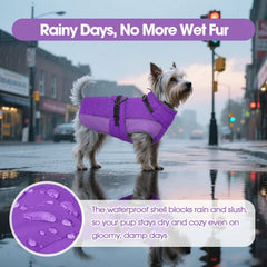 QBLEEV hind-leg elastic bands secure warmth and fit.