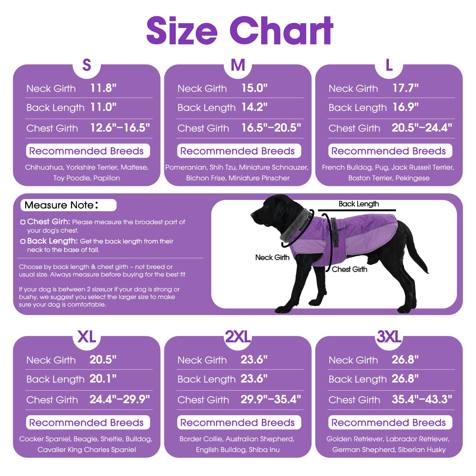 QBLEEV machine-washable dog coat for easy after-walk cleanup.