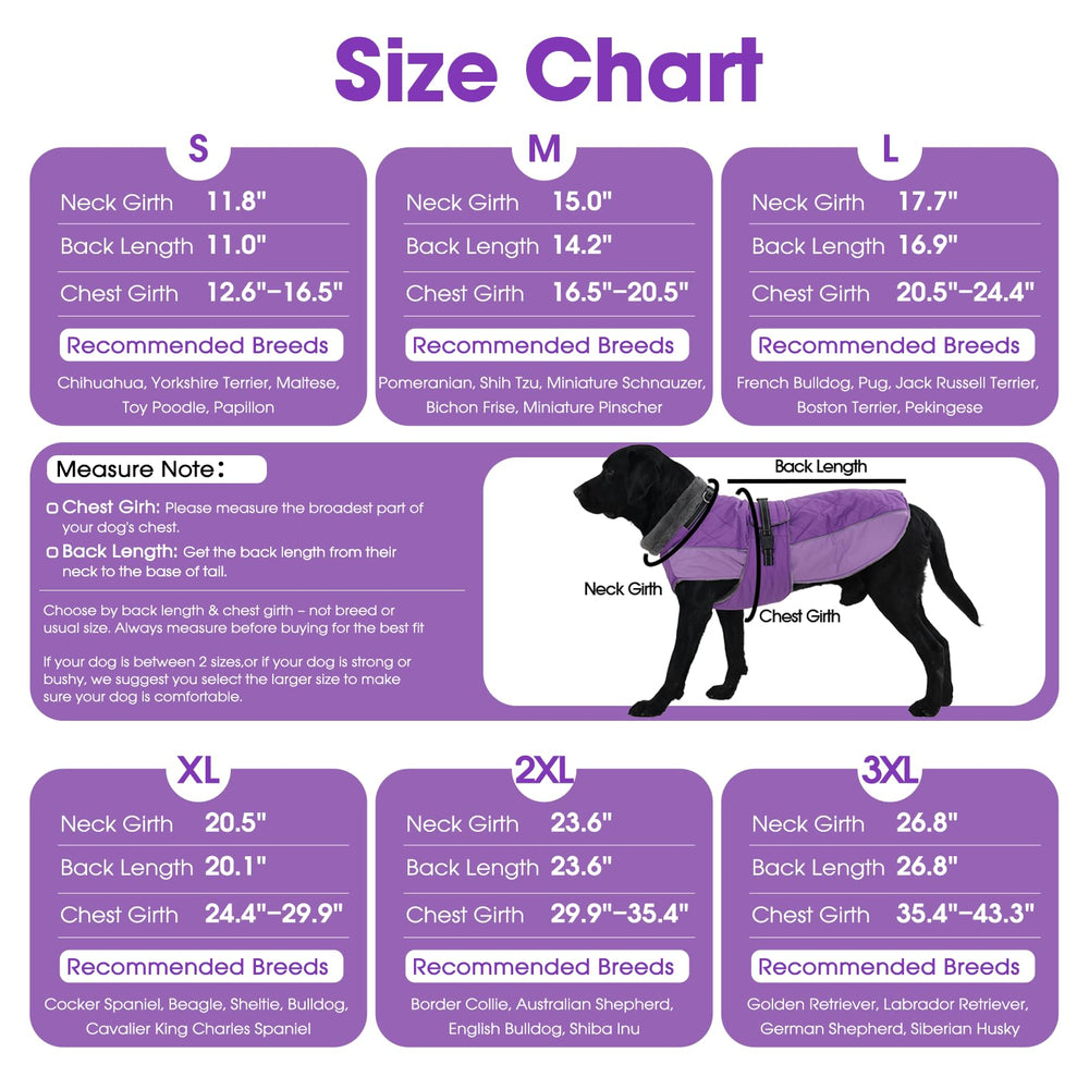 QBLEEV machine-washable dog coat for easy after-walk cleanup.