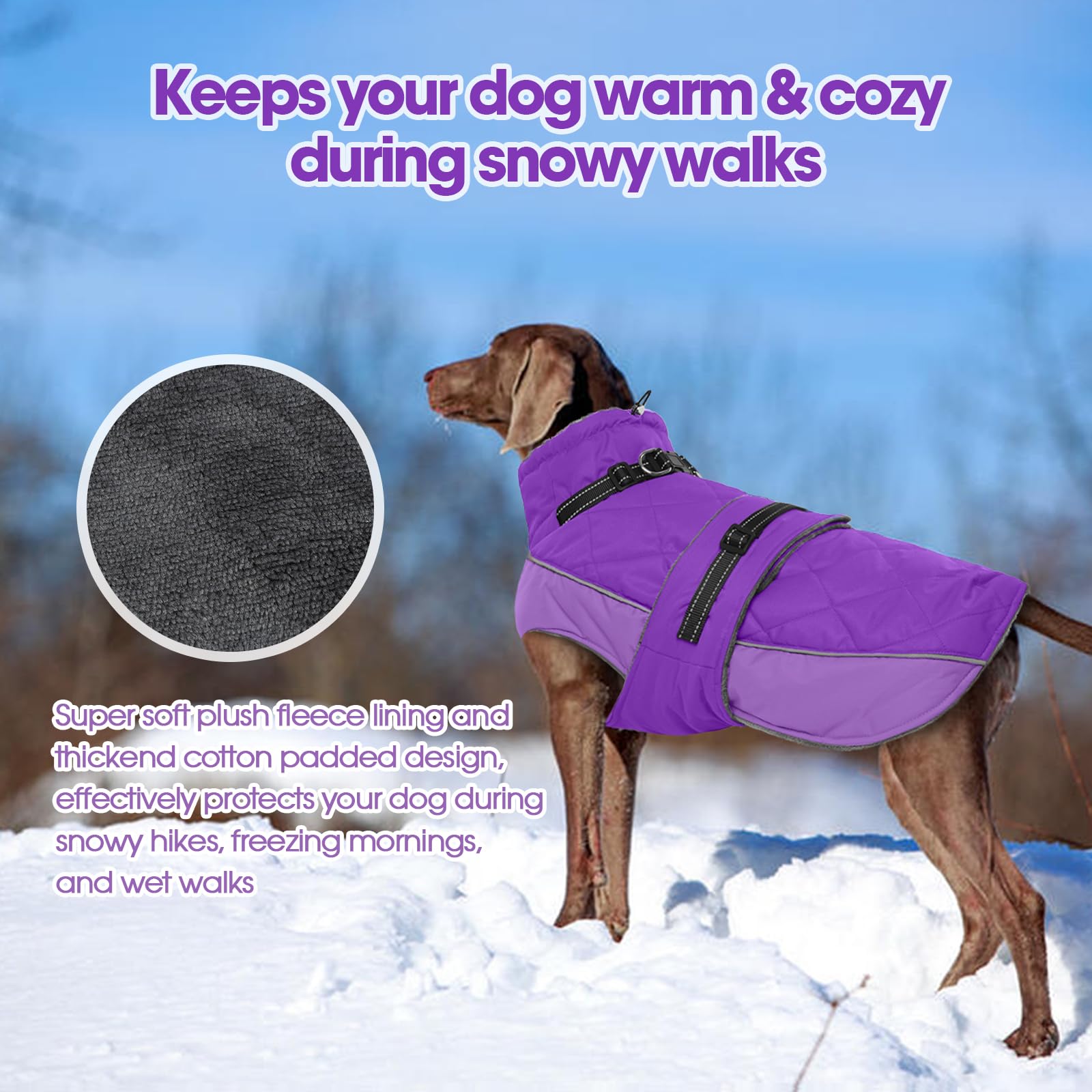 QBLEEV reflective strips boost visibility for safe evening outings.