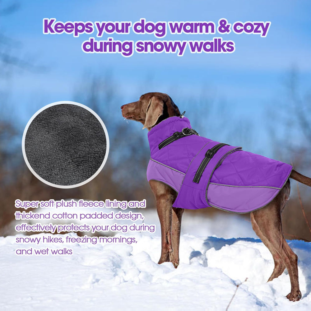 QBLEEV reflective strips boost visibility for safe evening outings.