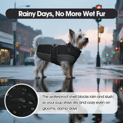 QBLEEV Warm Dog Jacket reflective strips for safety during evening walks