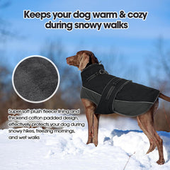 QBLEEV Warm Dog Jacket side-wearing portrait with adjustable fit for mobility