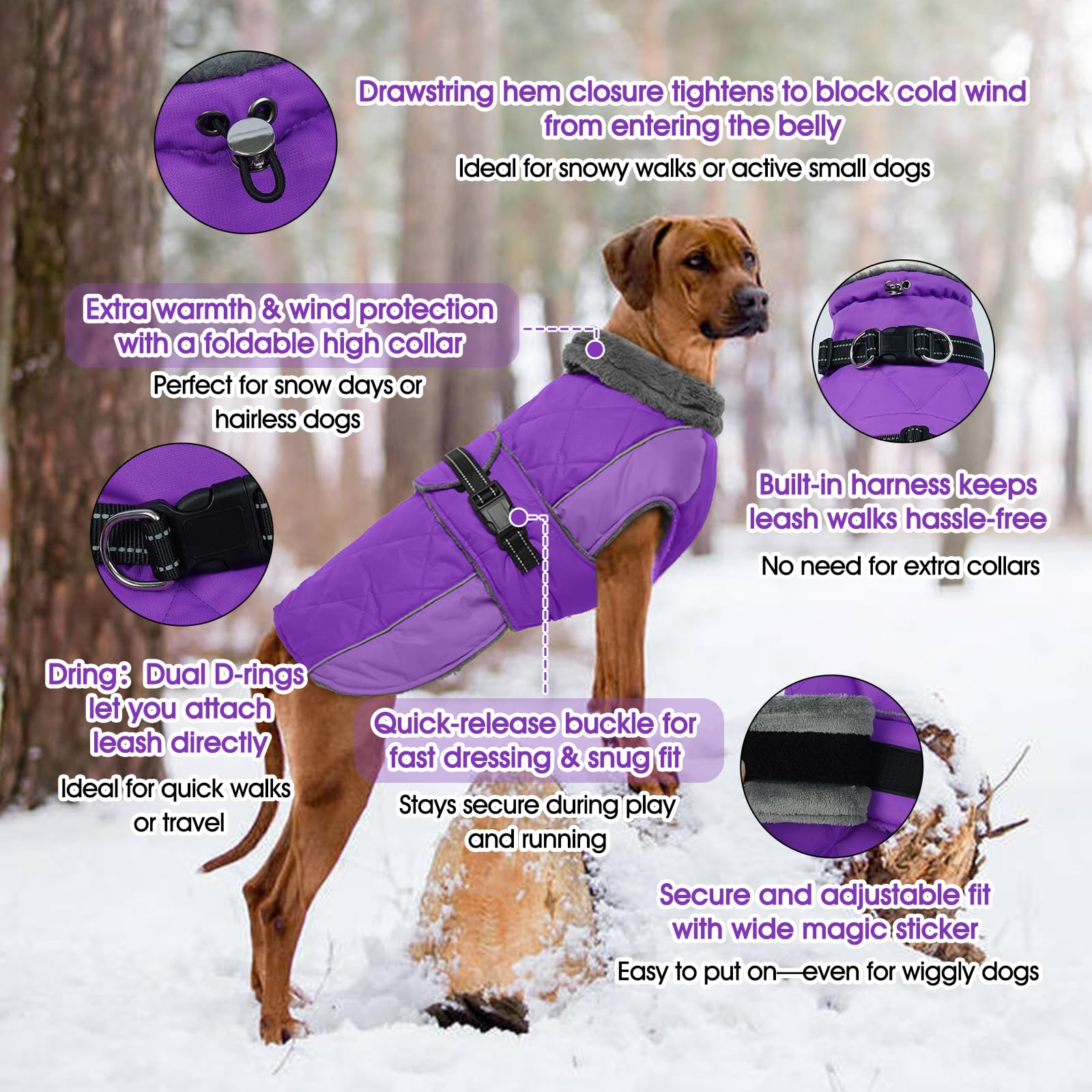 QBLEEV warm dog jacket with turtleneck keeps neck warm during chilly walks.