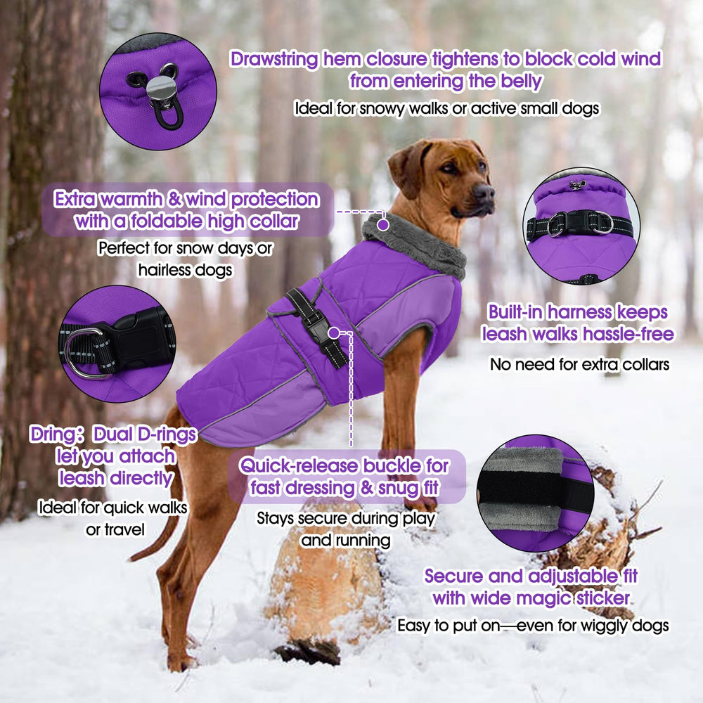 QBLEEV warm dog jacket with turtleneck keeps neck warm during chilly walks.