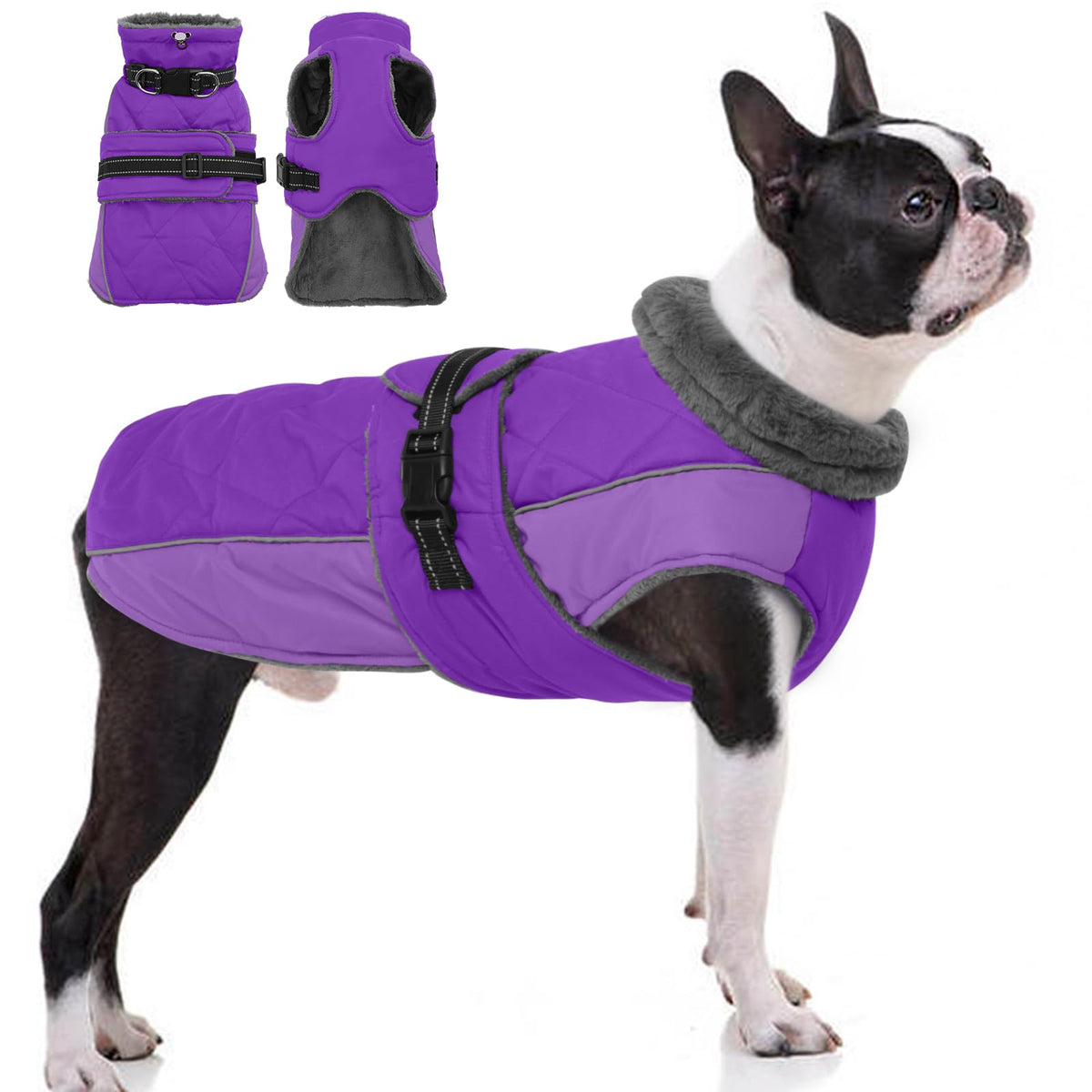 QBLEEV warm dog jacket features waterproof fleece for cozy outdoor adventures.