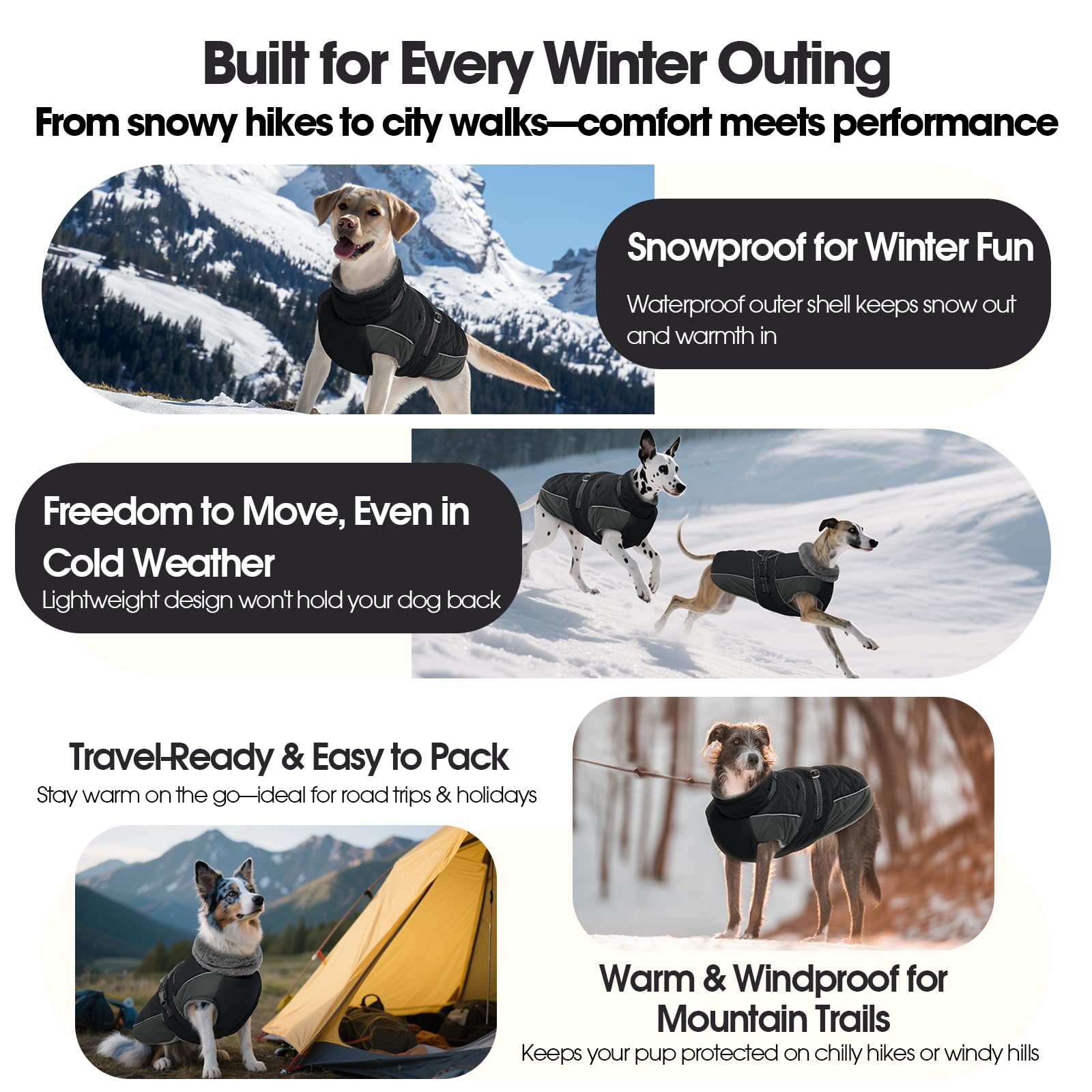 QBLEEV Warm Dog Jacket dog in winter activity demonstrating versatile outdoor use during snow