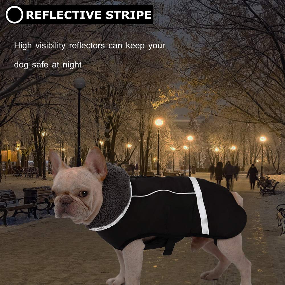 QBLEEV coat reveals hidden leash hole for controlled outings.