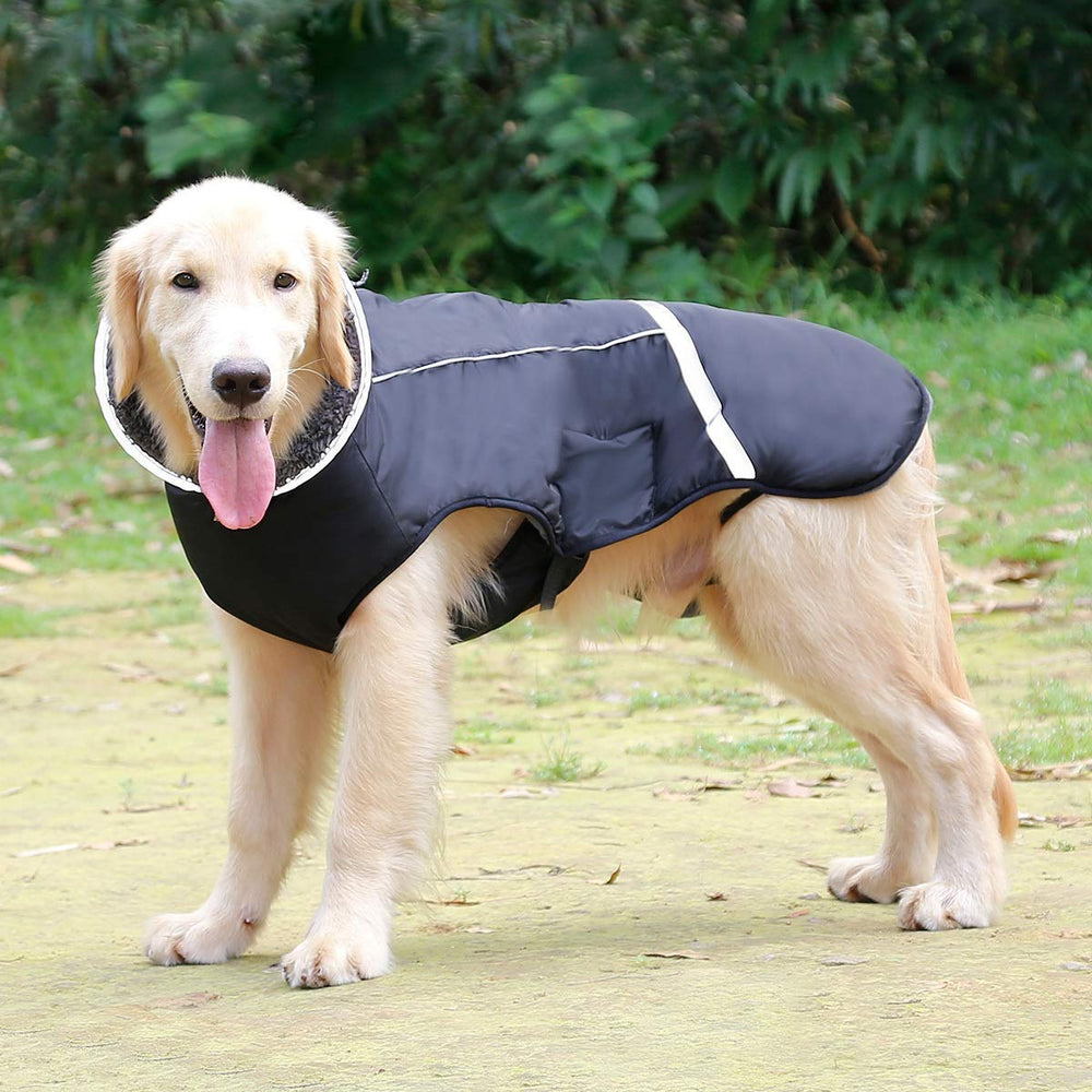 QBLEEV six-size range to fit small to large dogs.