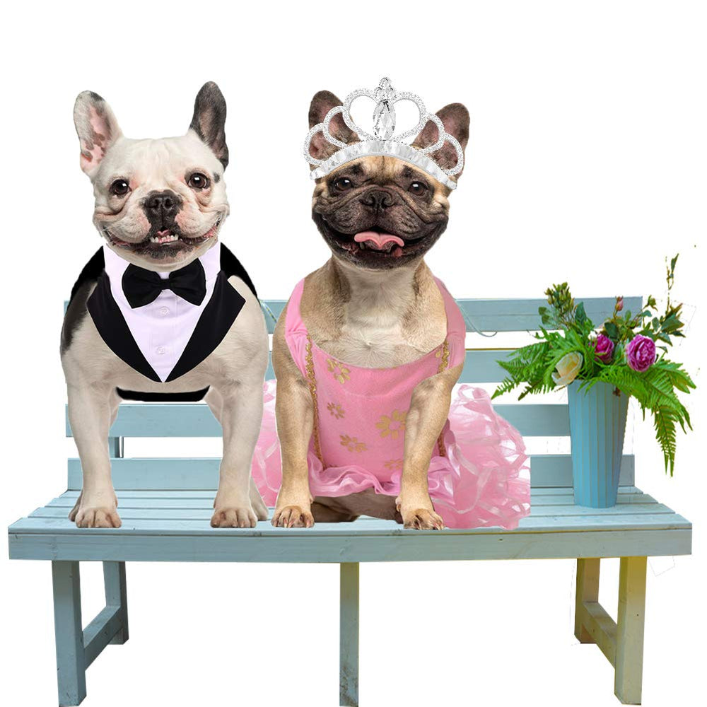 QBLEEV wedding-ready outfit for large dogs; ideal for photos and parties