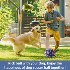 QDAN soccer ball with pump and needle adapter for quick inflation.