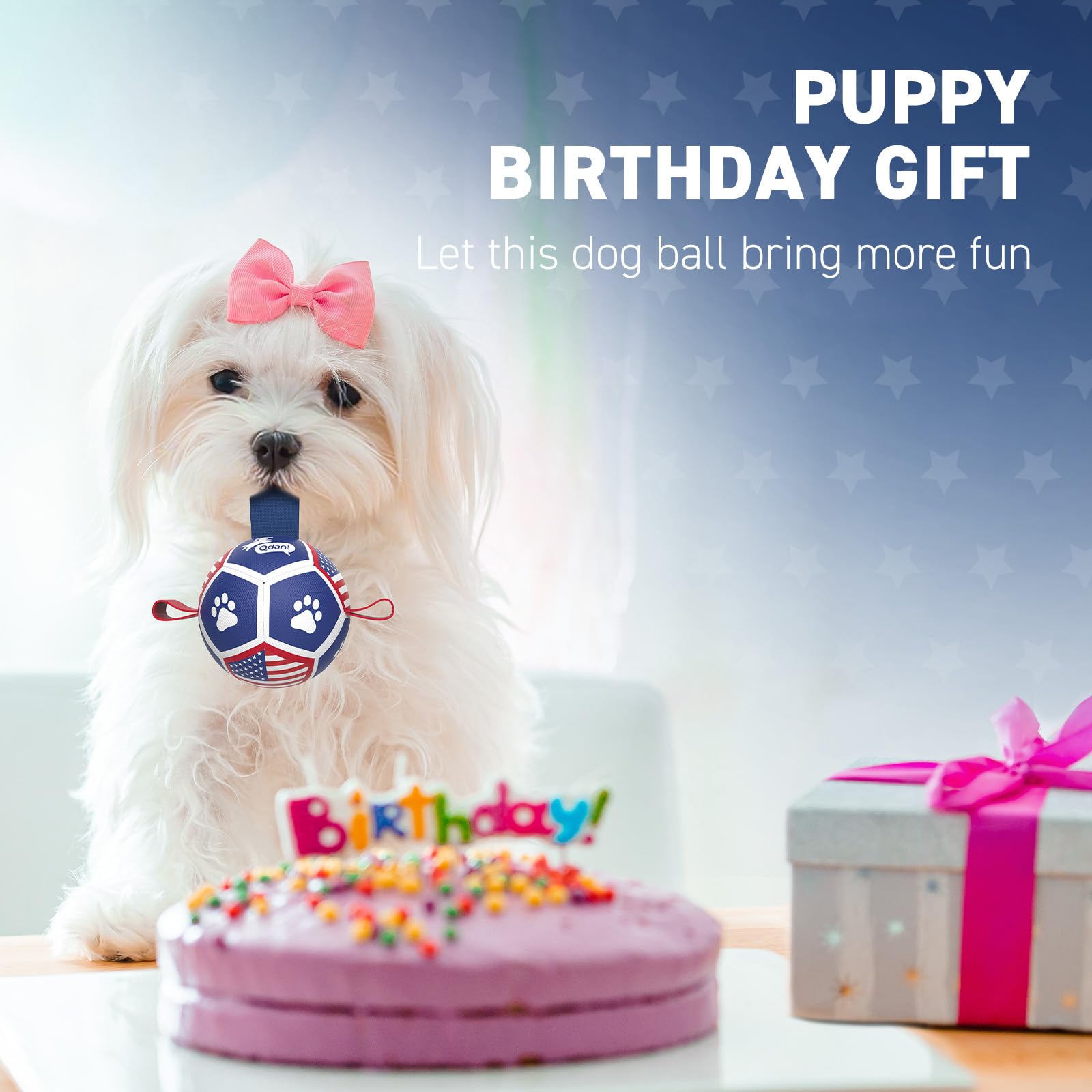 QDAN Puppy Balls ideal for dog birthday gift scenarios
