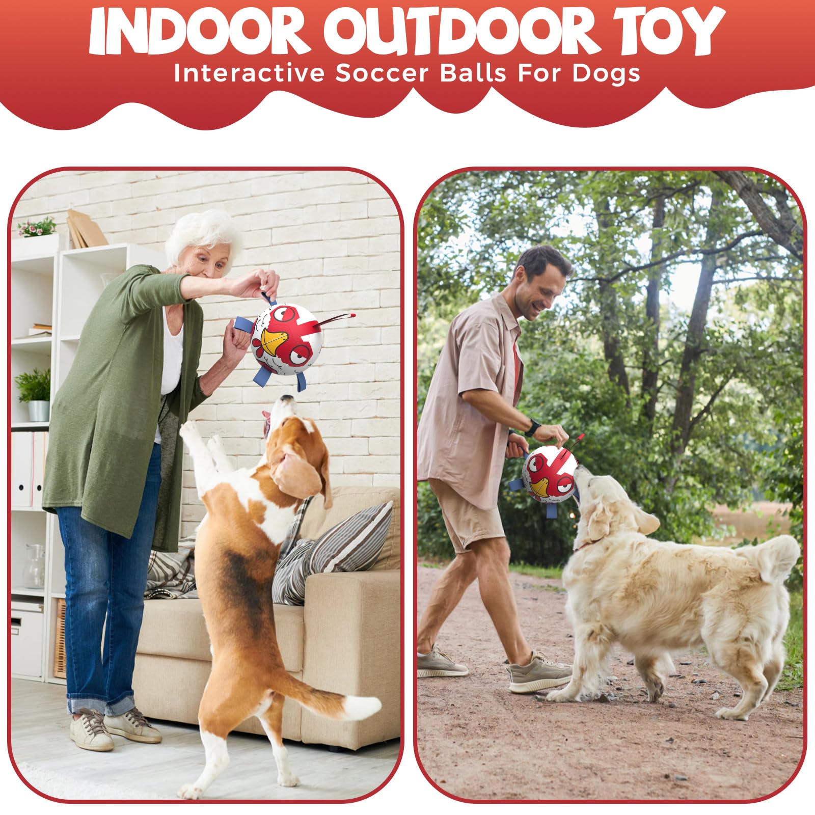 QDAN chicken dog ball toy with erratic bounce to attract chase