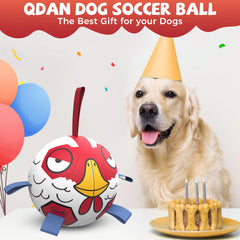 QDAN chicken dog ball toy in action during tug-of-war play