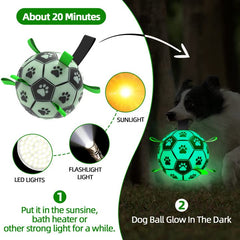 QDAN dog ball durable PU construction for long-lasting fun.