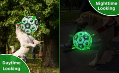 QDAN dog ball lights up for visible play after sunset.
