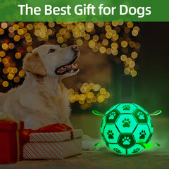 QDAN dog ball with nylon tabs that encourage erratic bounces.