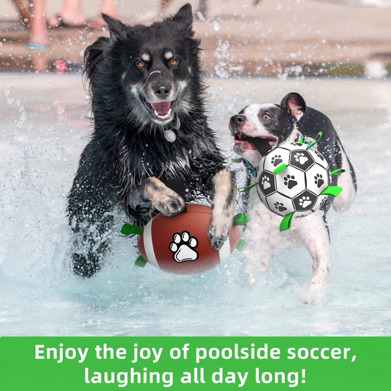 QDAN dog ball set nylon tabs create erratic bounce for chase games.