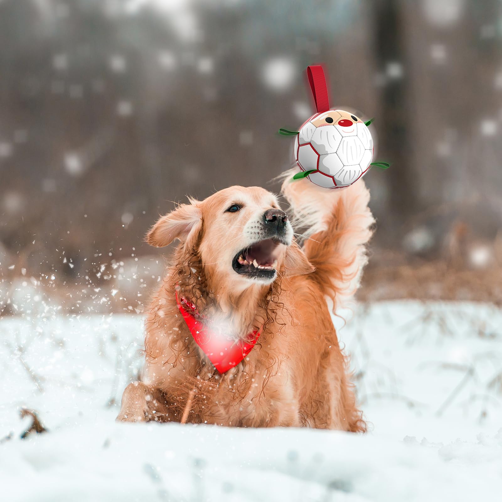 QDAN dog ball with strap enables easy retrieval during interactive fetch.