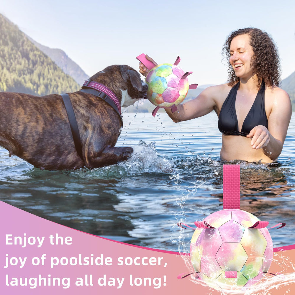 QDAN dog balls with straps offering erratic bounce for engaging retrieval sessions.