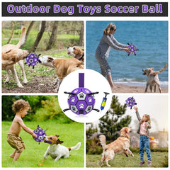 QDAN dog pool toy with nylon tabs for secure grip in water.