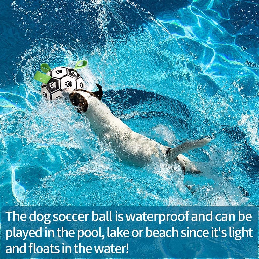 QDAN 8-inch ball fits both indoor and outdoor play.