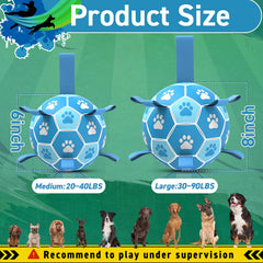 QDAN dog soccer ball outdoors-ready for training and energetic fetch.