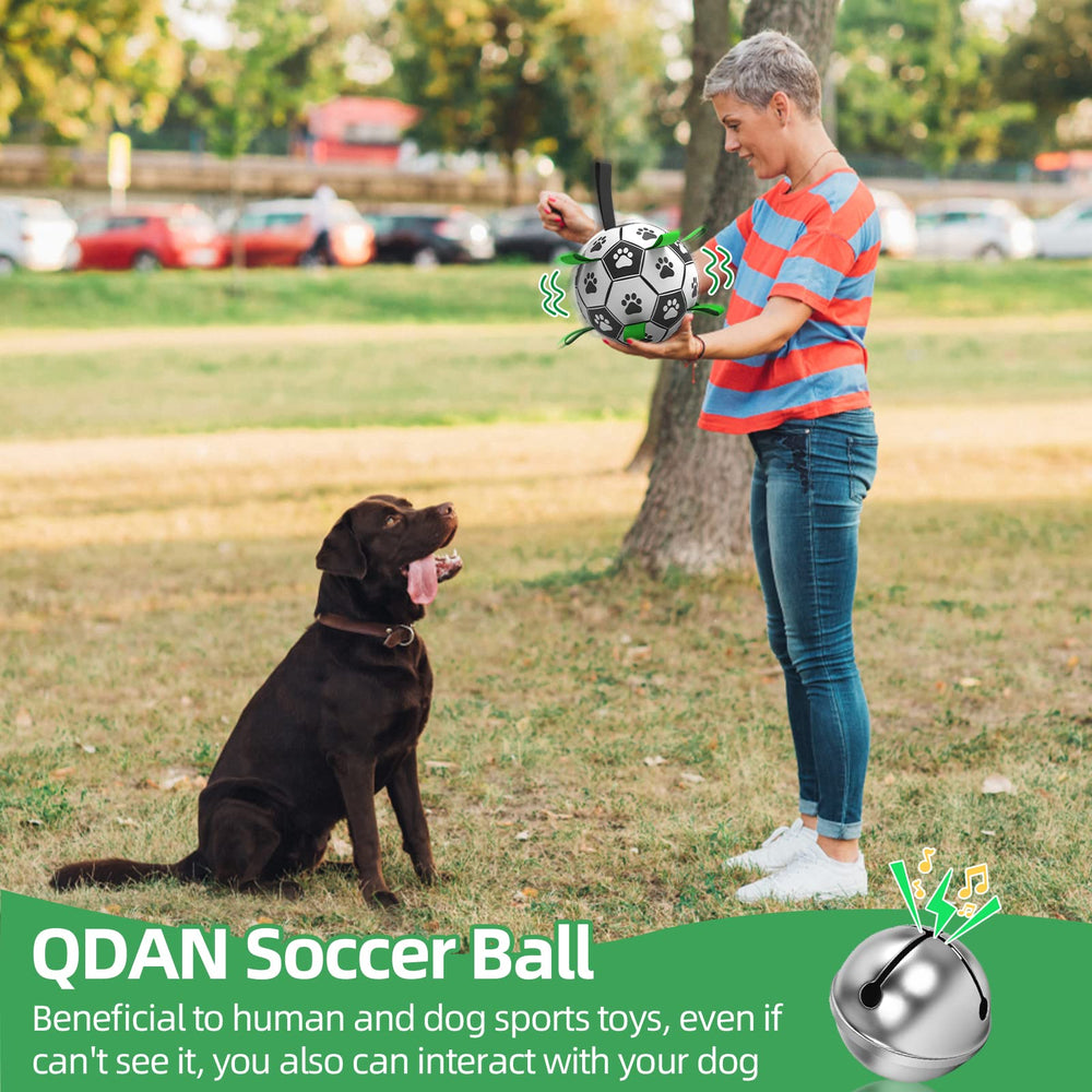 QDAN paw-print design attracts dogs during playtime.