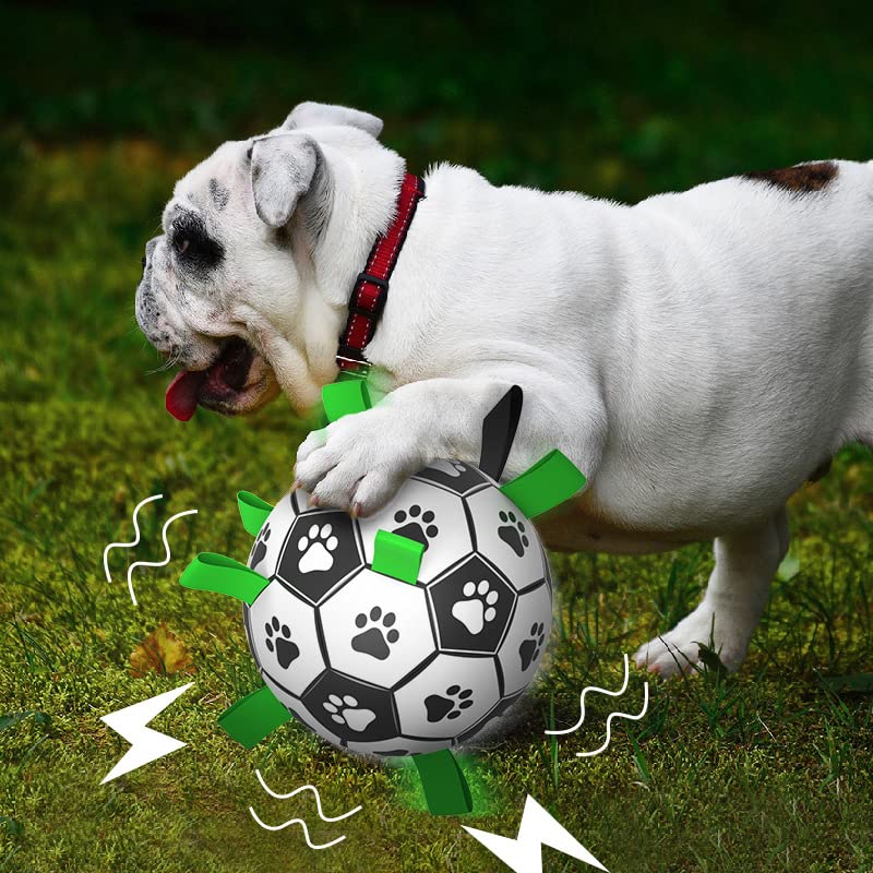 QDAN 8-inch ball sized for medium and large dogs.