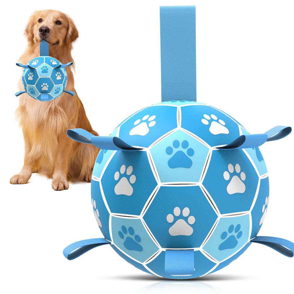 QDAN dog soccer ball with straps for erratic bounce during interactive play.