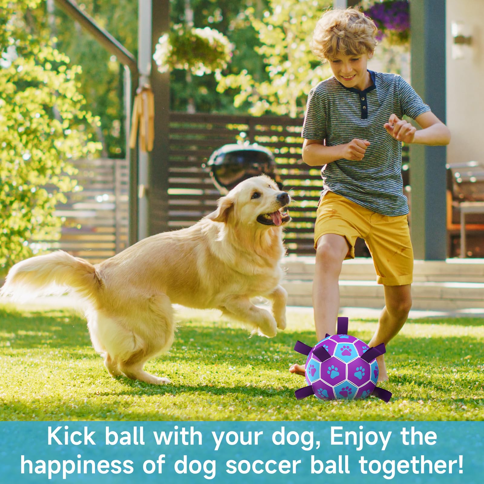 QDAN dog soccer ball 8-inch pump-and-needle included.