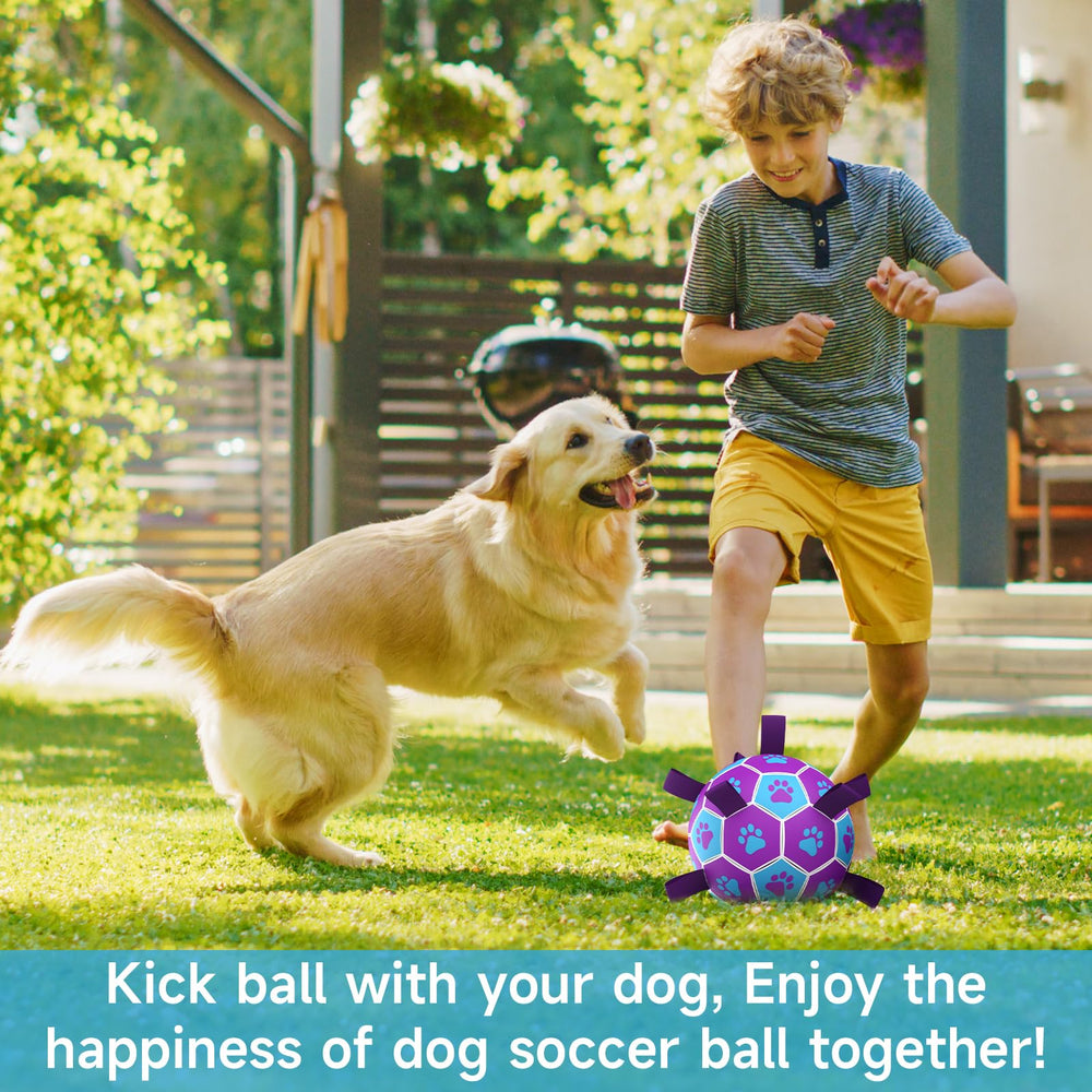 QDAN dog soccer ball 8-inch pump-and-needle included.
