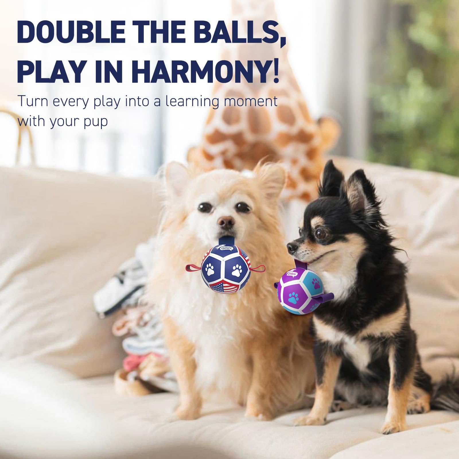 QDAN durable polyurethane small-dog ball gentle on teeth and mouth.