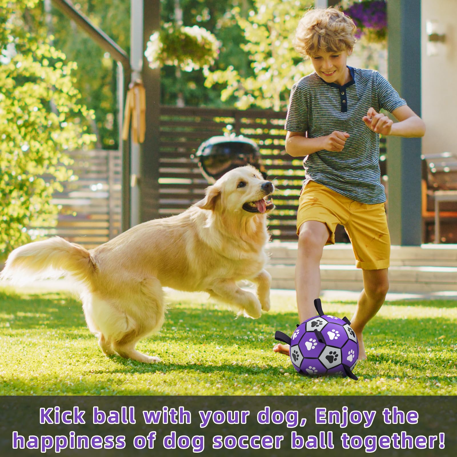QDAN durable PU ball with erratic bounce boosts interactive chasing sessions.