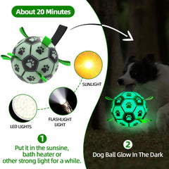 qdan glow dog ball durable pu material for long-lasting play