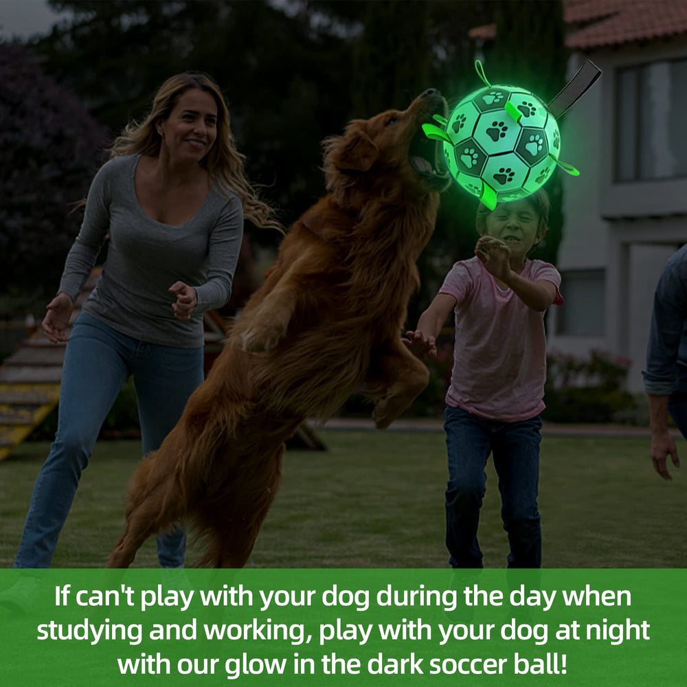 qdan glow dog ball with nylon straps for erratic bounce and grip