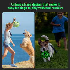 QDAN glow in dark dog ball night illumination for night play