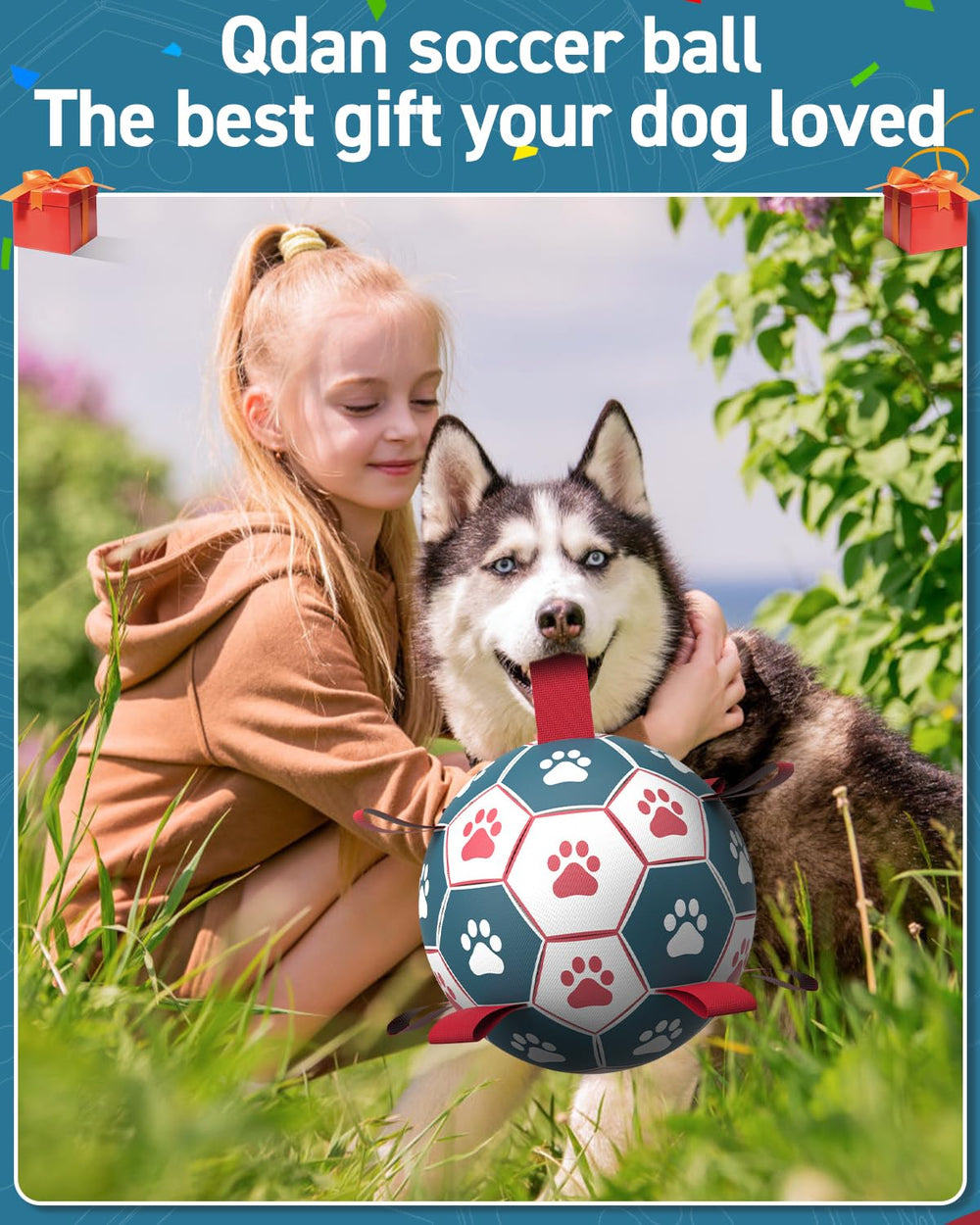 QDAN interactive dog toy with nylon tabs and erratic bounce.