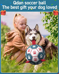 QDAN interactive dog toy with nylon tabs and erratic bounce.