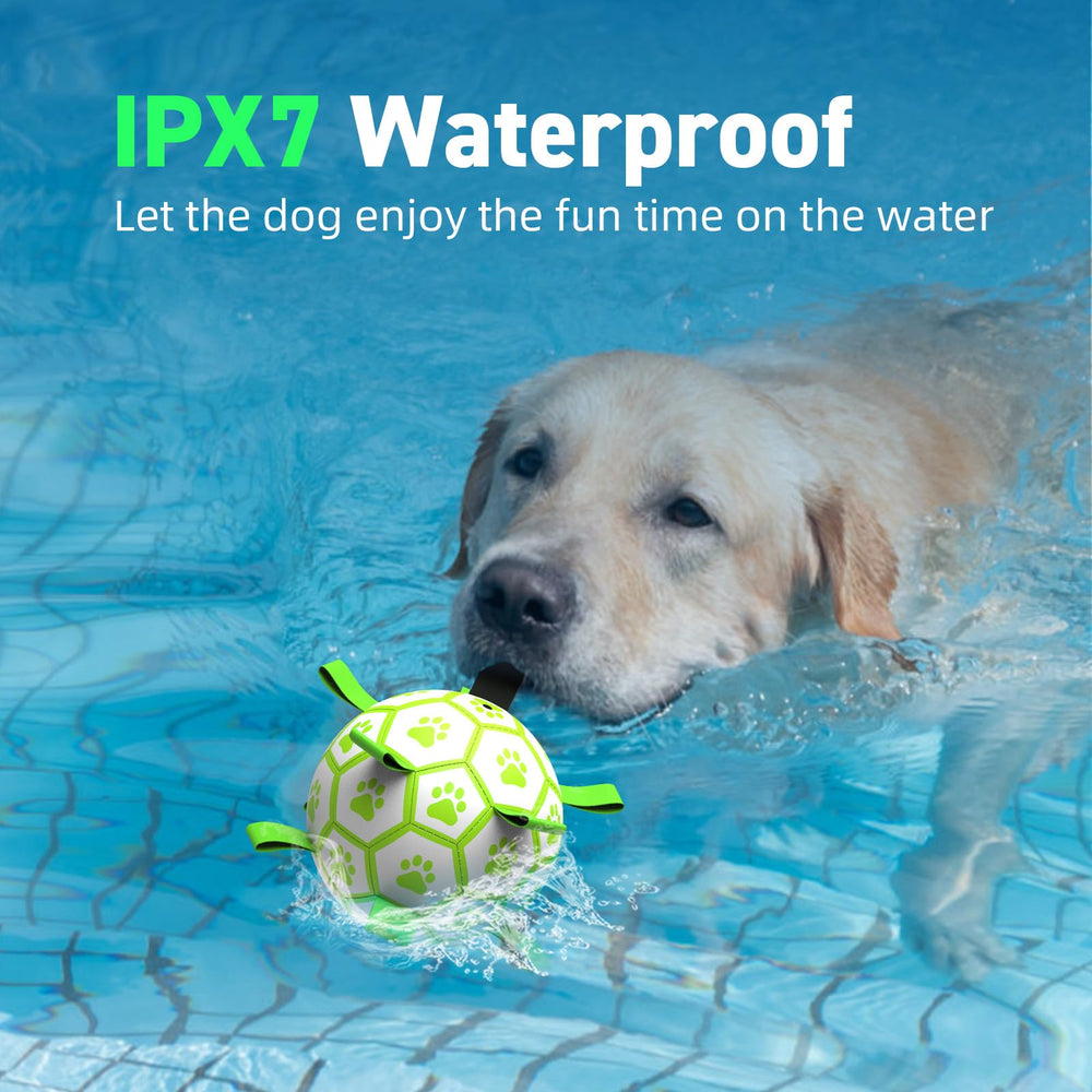 QDAN interactive fetch tug dog ball enhances bonding