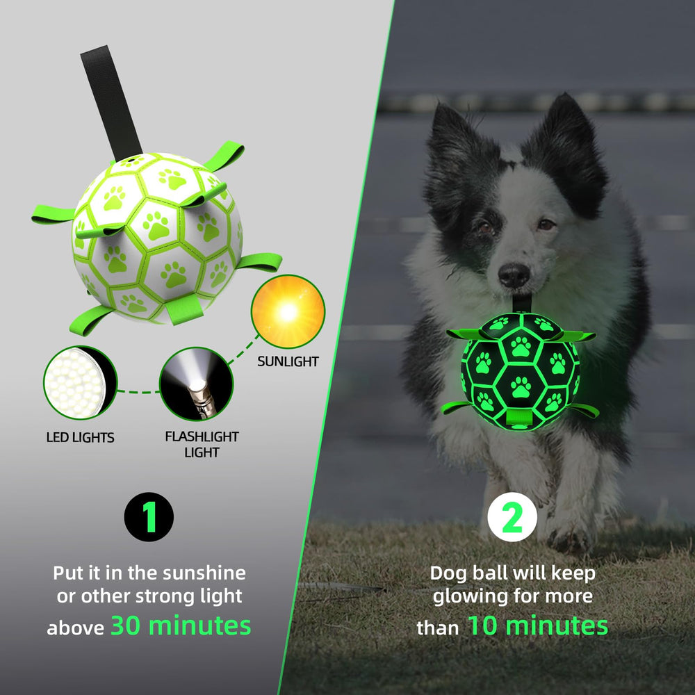 QDAN nylon straps dog toy ball bounce and fetch