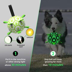QDAN nylon straps dog toy ball bounce and fetch