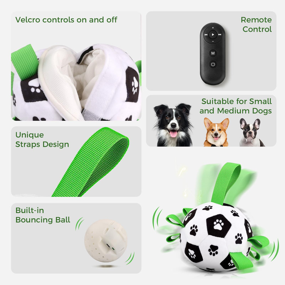 QDAN included USB cable and remote enable ready-to-use setup