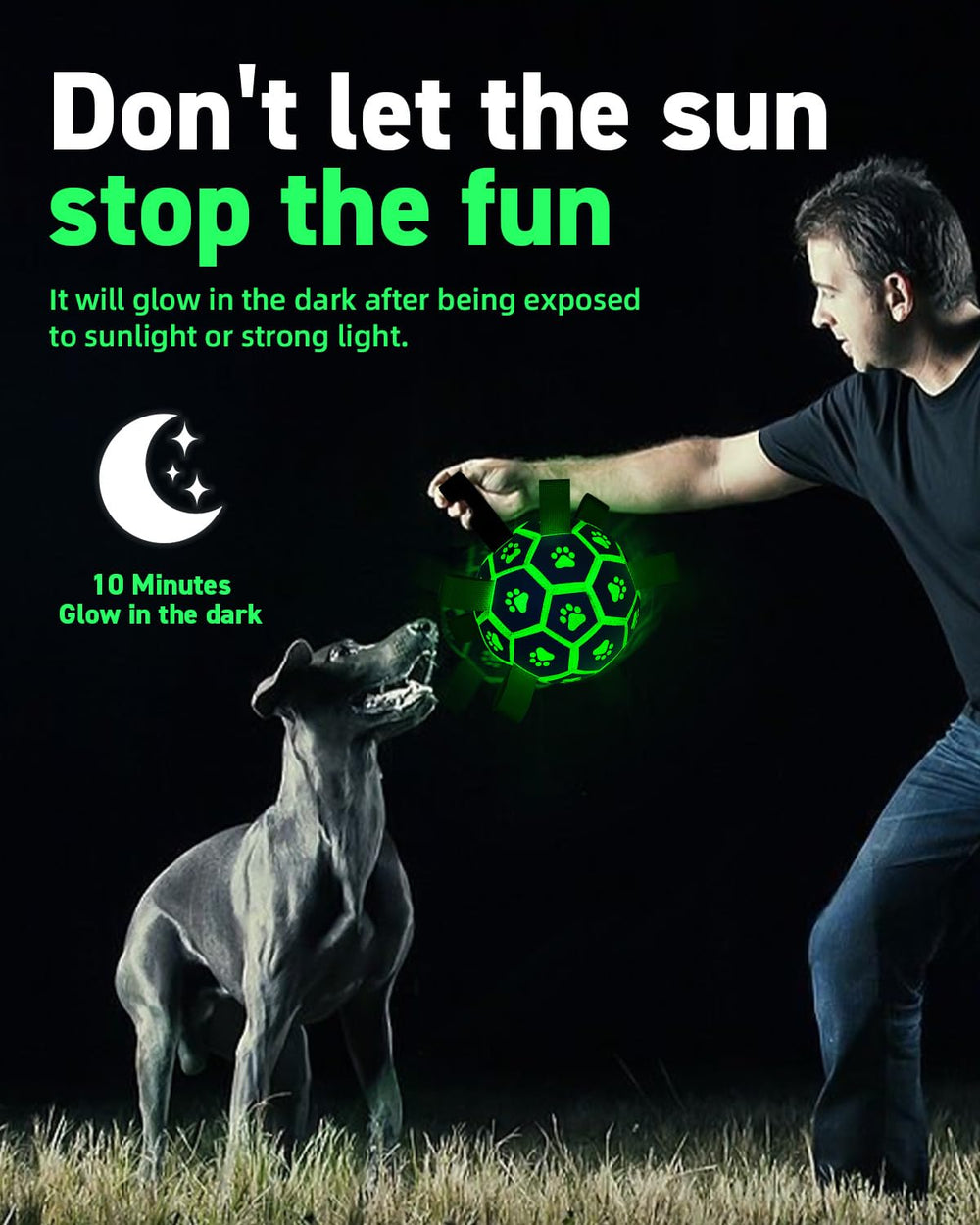 QDAN paw-print design on glow ball attracts dogs during outdoor play