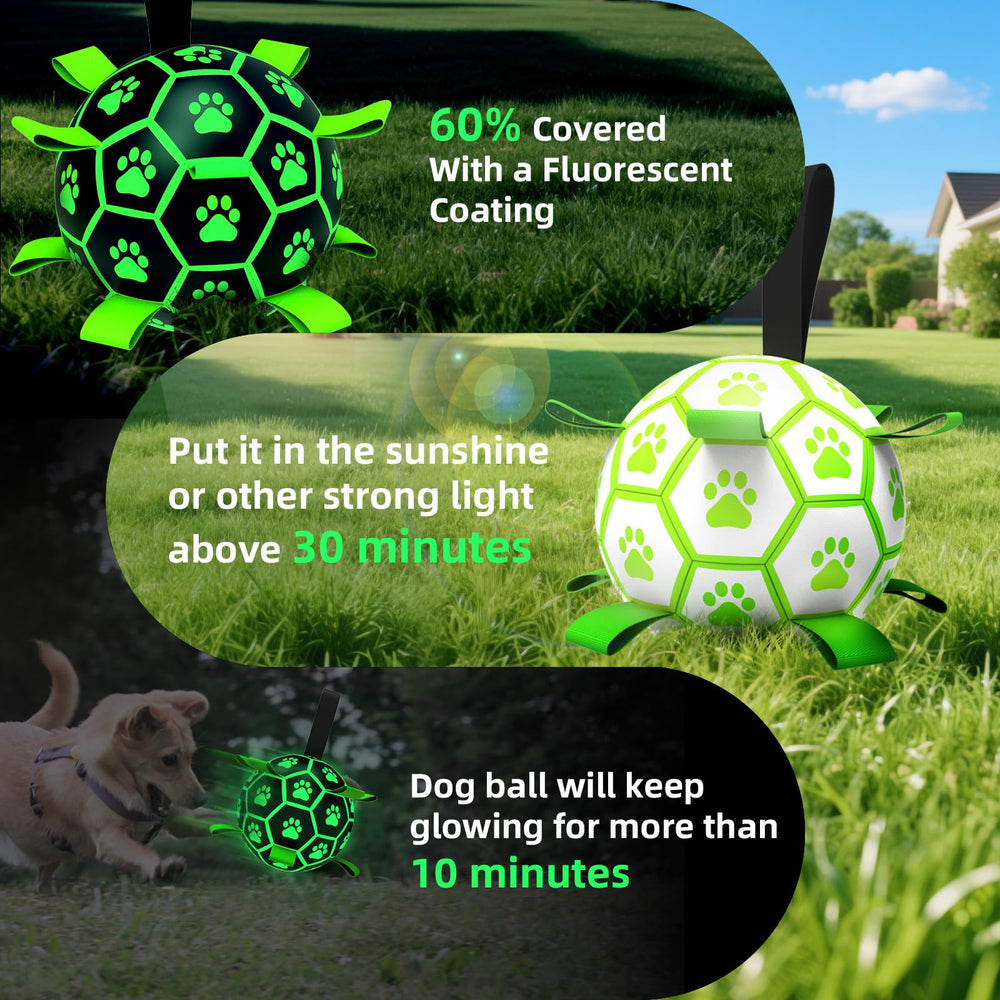 QDAN paw print glow ball attracts dogs during play