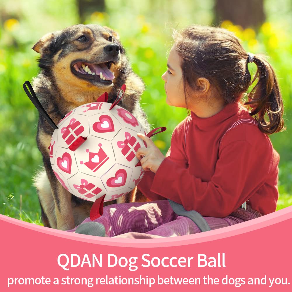 QDAN pink paw-print ball attracts attention during playtime.