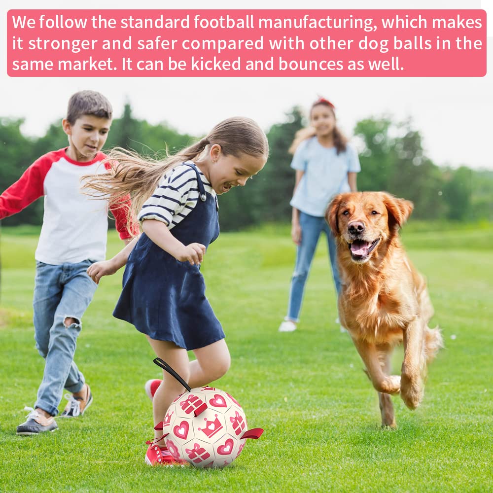 QDAN pink ball with straps offers bounce for lively fetch sessions.