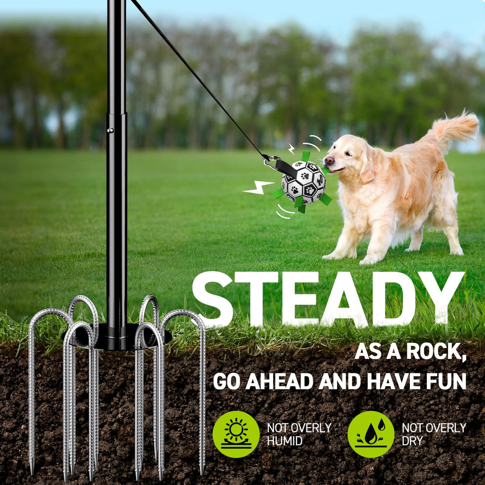 QDAN Tether Tug ground stakes show strong grip during active dog play